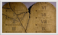 Men & Women Systematic Theology